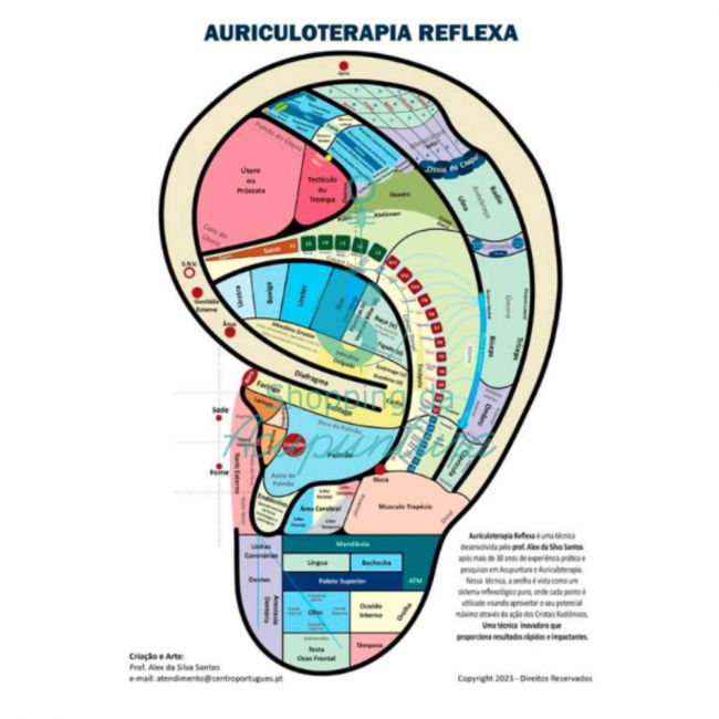 Mapa de Auriculoterapia Reflexa