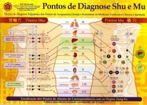 Mapa Pontos De Diagnose Shu E Mu
