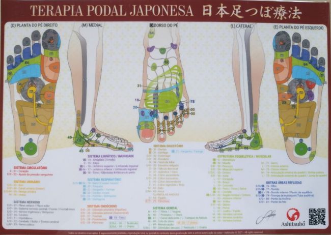 Mapa Terapia Podal Japonesa